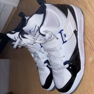 Jordan Flight 45 Concorn